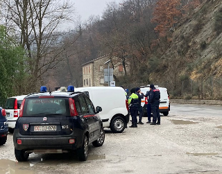 Trentadue cani in un casolare: sequestrati per motivi igienico-sanitari